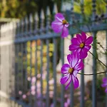 Rosa - Sky Apartmán Detmold