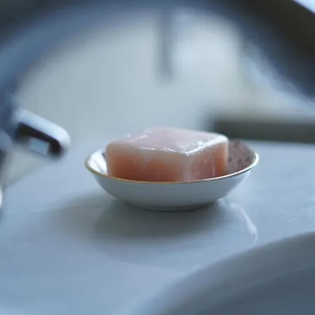 Rosa - Sky * Детмольд