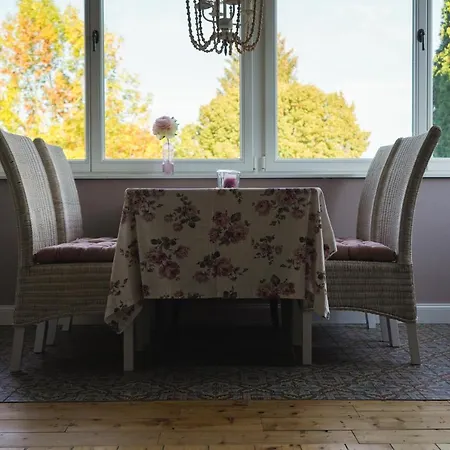 Rosa - Sky Детмольд