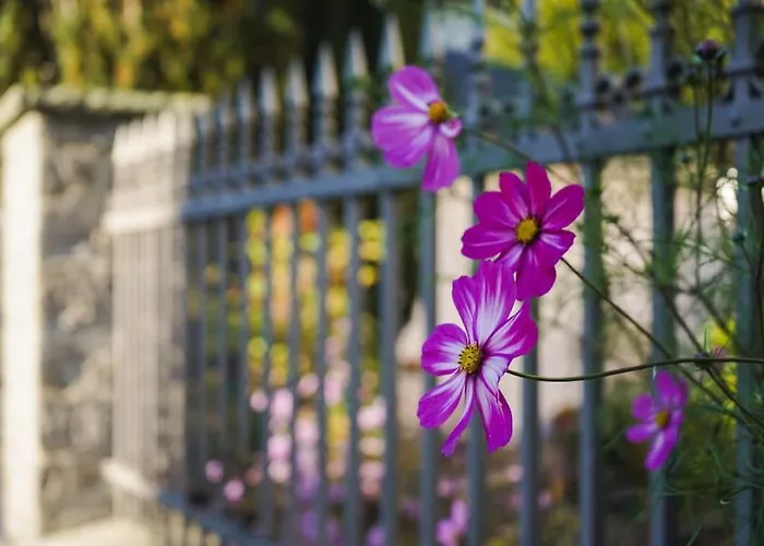 Rosa - Sky Apartmán Detmold