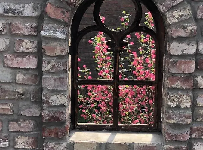 Rosa - Sky * Detmold